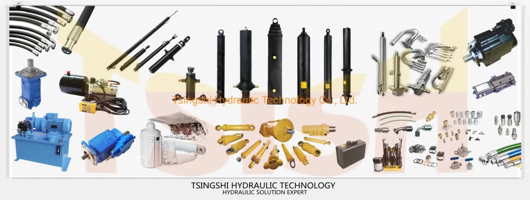 Gear Kind Hydraulic Pump Hyva for Hydraulic System Dump Truck