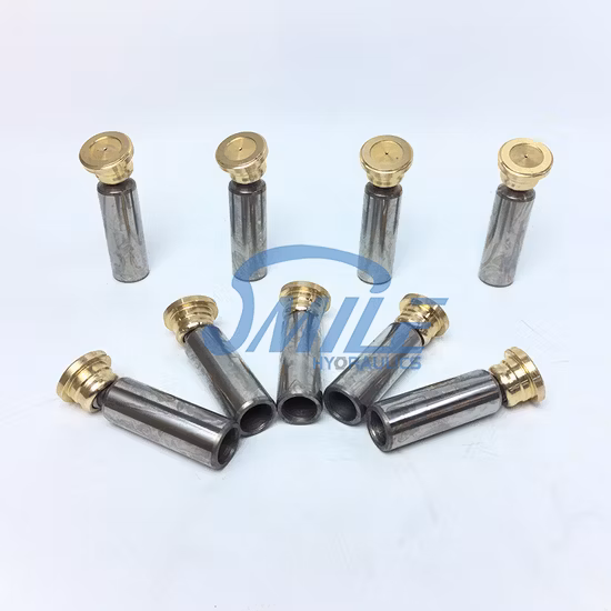 90r /90m Series 030/042/055/075/100/130/180/250 Hydraulic Pump Parts for Sauer Danfoss Spare